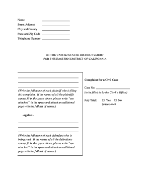 Civil Case Complaint Form