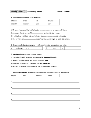 Reading Town 3 Vocabulary Review Worksheets