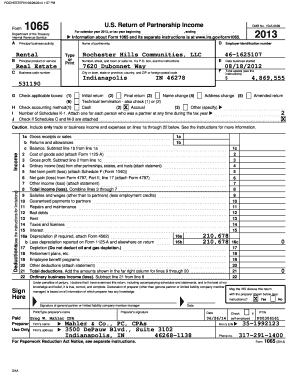 US Partnership Tax Return Form 1065