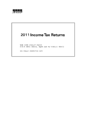 IRS Form 990 2011