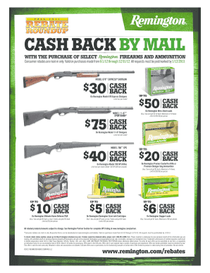 Remington Fall Rebate 2012 Form