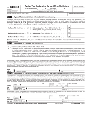 IRS Form 8453-EX