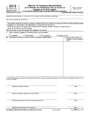 IRS Form 5213