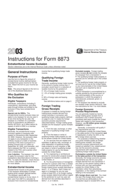 Form 8873 Instructions