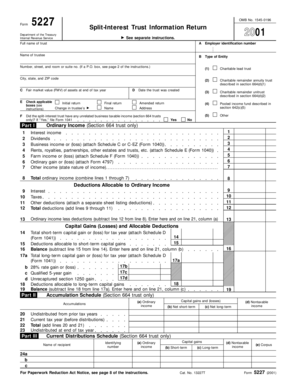 Form 5227 Split-Interest Trust Information Return