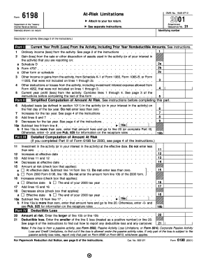 IRS Form 6198 At-Risk Limitations