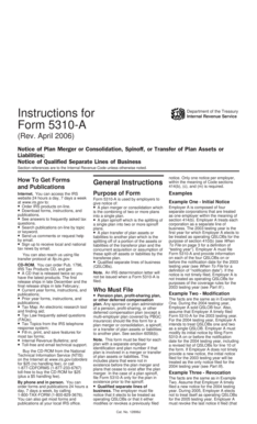 IRS Form 5310-A Instructions