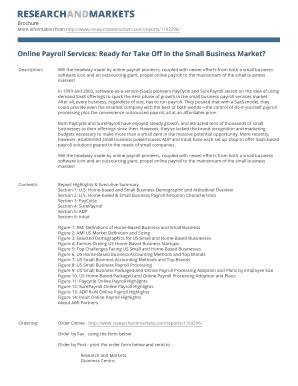 Online Payroll Services Market Report