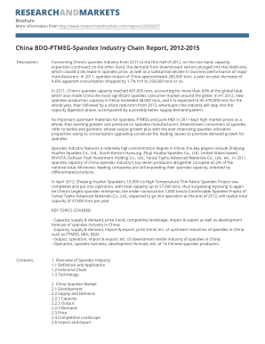 Expense sheet - China BDO-PTMEG-Spandex Industry Chain Report, 2012-2015