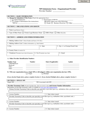 NPI Submission Form – Organizational Provider