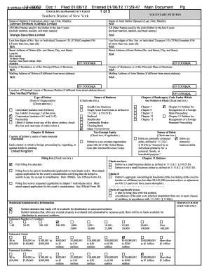 US Bankruptcy Voluntary Petition