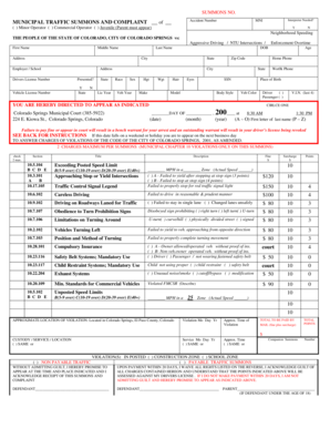 Municipal Traffic Summons and Complaint