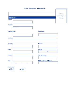 Experienced Job Application Form