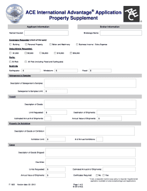 Business inventory template - ACE International Advantage Application Property Supplement