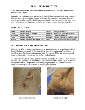 Fetal Pig Dissection Lab Guide