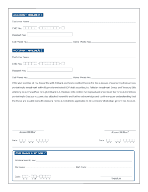 Citibank Custody Account Application Form