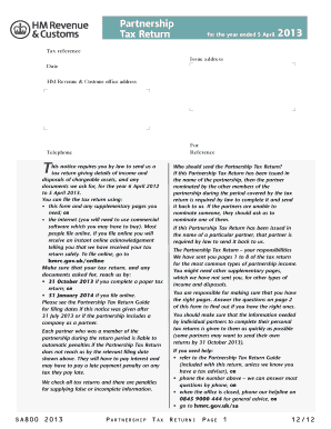 UK Partnership Tax Return Form SA800 2013