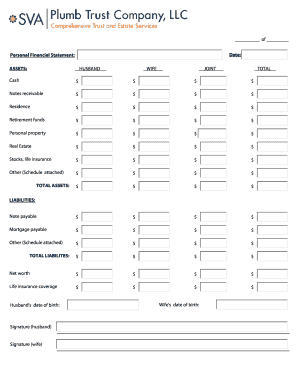 Personal Financial Statement Form