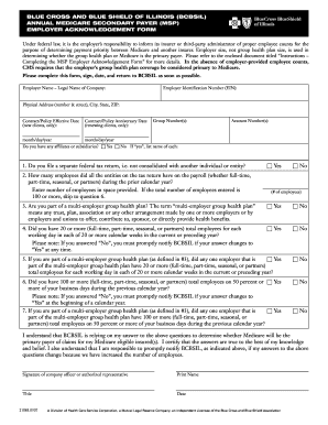 Blue Cross Blue Shield of Illinois Medicare Secondary Payer Form