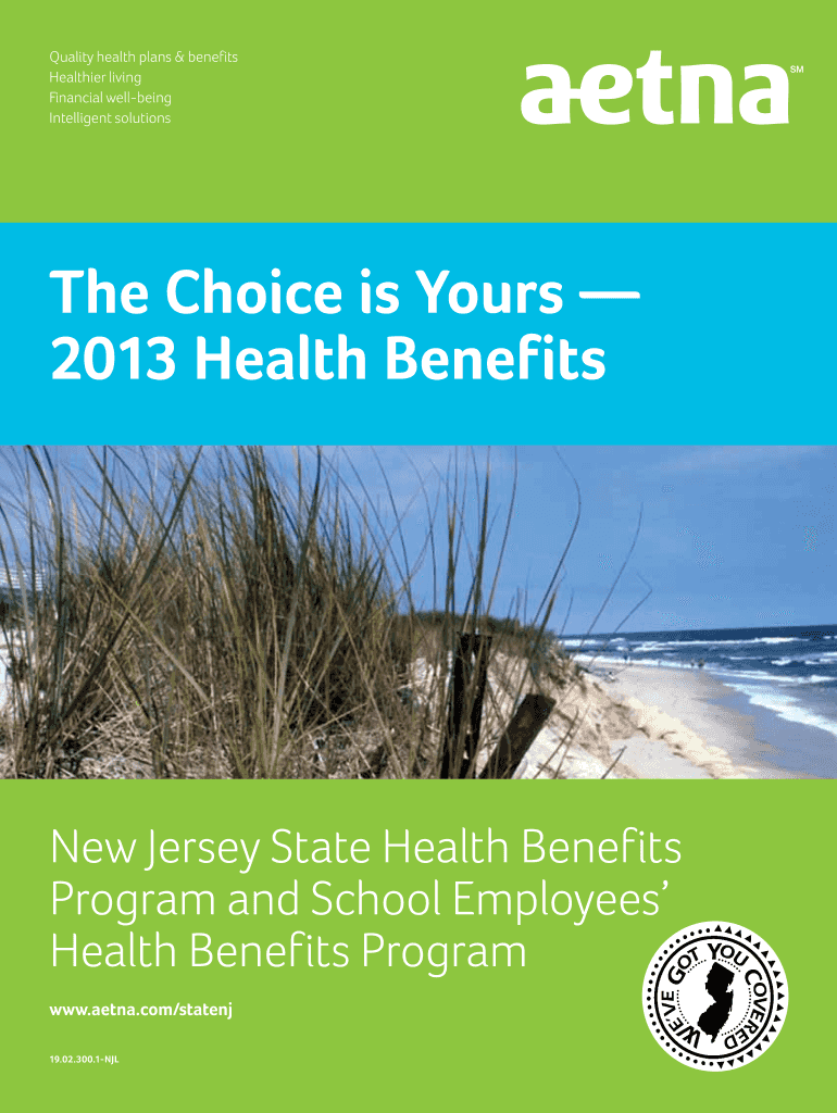 Fillable Online 2013 Aetna Health Benefits Guide Fax