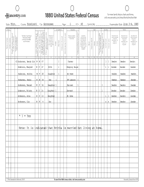 1880 United States Federal Census Form
