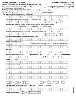 Wells Fargo Account Authorization Form