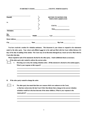 Return to Motion for Visitation Assistance