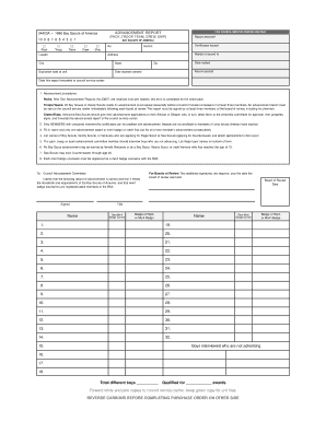 Boy Scouts of America Advancement Report