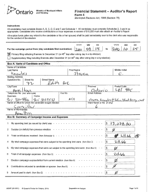 Ontario Municipal Election Financial Statement