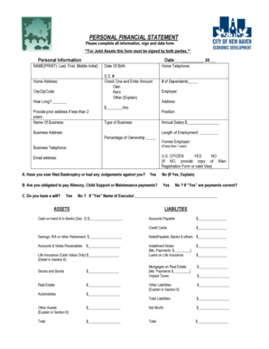 Personal Financial Statement Form