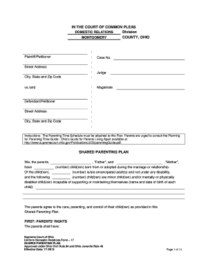 Ohio Shared Parenting Plan