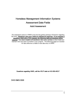 Homeless Management Information Systems Assessment Form
