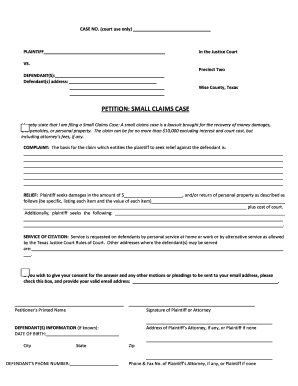 Texas Small Claims Petition Form