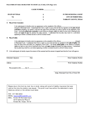 Texas Plea Form