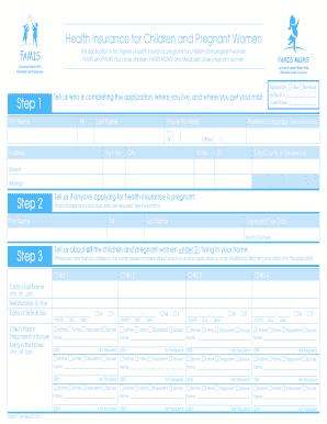 Virginia Health Insurance Application for Children and Pregnant Women