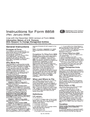 Form 8858 Instructions