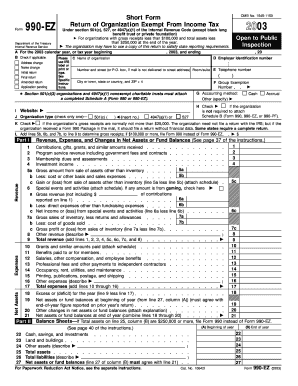 Form 990-EZ 2003