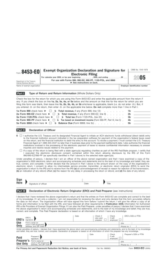 IRS Form 8453-EO