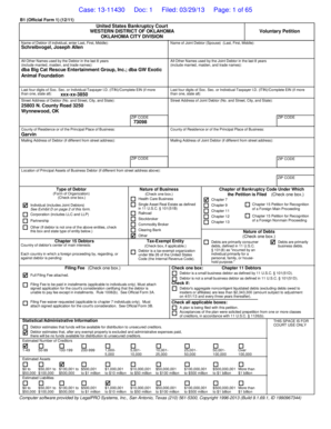 US Bankruptcy Voluntary Petition