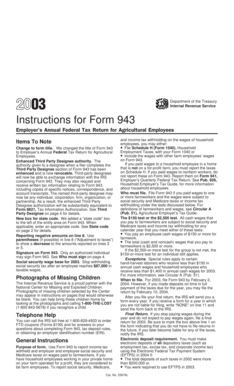 Instructions for Form 943