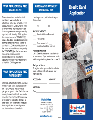 Visa Application and Credit Card Agreement