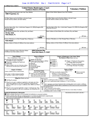 US Bankruptcy Court Voluntary Petition