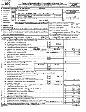 Form 990 2007