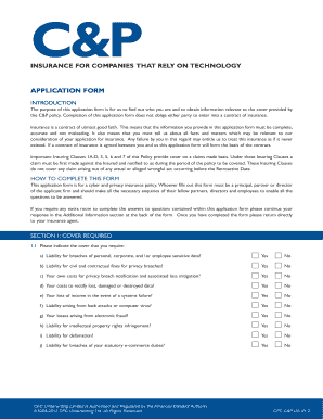 Cyber & Privacy Insurance Application Form