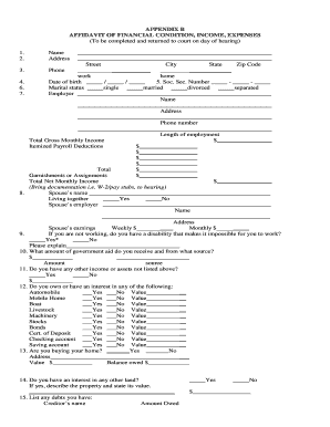 Affidavit of Financial Condition