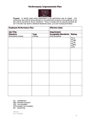 Performance Improvement Plan