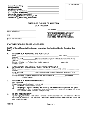 Arizona Divorce Petition Without Children