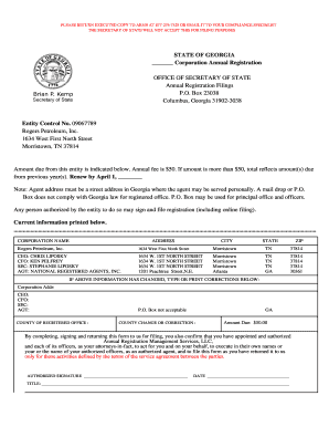 Georgia Corporation Annual Registration