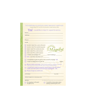 Ignatian Volunteer Corps Magnify Campaign Donation Form