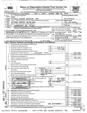Form 990 Tax Exempt Organization Return